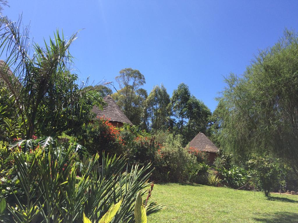 Nyore Hillside Retreat Mbarara Exterior foto